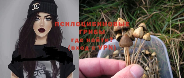 дурь Абинск