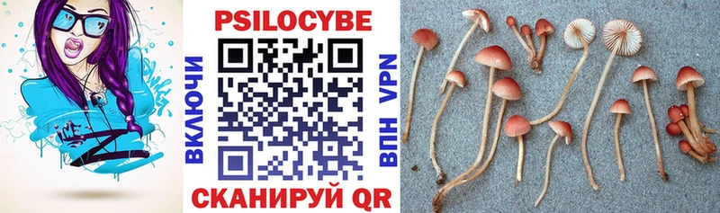 Псилоцибиновые грибы Magic Shrooms  Алапаевск 
