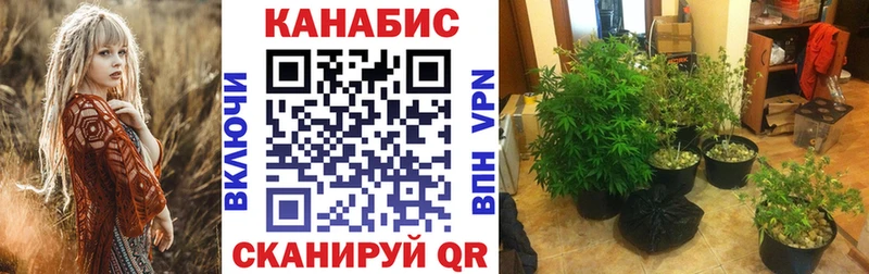 Каннабис Bruce Banner  OMG tor  Алапаевск 